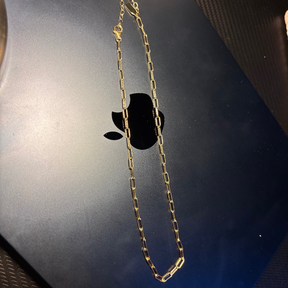 Electric Picks Jet Set Paperclip Necklace 14K filled